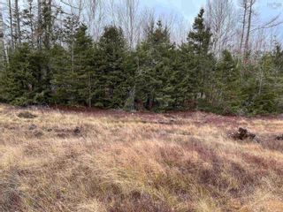 Photo 4: Lot 22-1 East Montrose Road in Montrose: 104-Truro / Bible Hill Vacant Land for sale (Northern Region)  : MLS®# 202227676