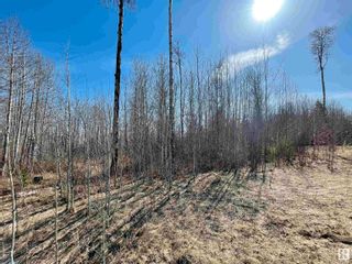 Photo 1: 22 Village West: Rural Wetaskiwin County Vacant Lot/Land for sale : MLS®# E4371093