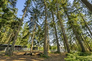 Photo 72: 366 Conway Rd in Saanich: SW Prospect Lake House for sale (Saanich West)  : MLS®# 935851