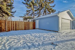 Photo 41: 2009 Cottonwood Crescent SE in Calgary: Southview Detached for sale : MLS®# A2017540