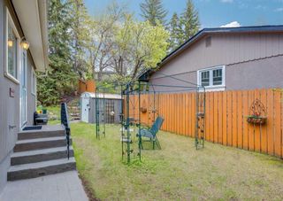 Photo 33: 3120 10 Street NW in Calgary: Cambrian Heights Detached for sale : MLS®# A2132731