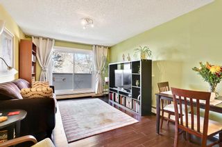 Photo 11: 307 1917 24A Street SW in Calgary: Richmond Apartment for sale : MLS®# A2011572