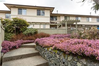 Photo 27: 19 4061 Larchwood Dr in VICTORIA: SE Lambrick Park Row/Townhouse for sale (Saanich East)  : MLS®# 808408
