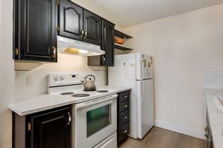Photo 16: 203 1202 13 Avenue SW in Calgary: Beltline Apartment for sale : MLS®# A2095854