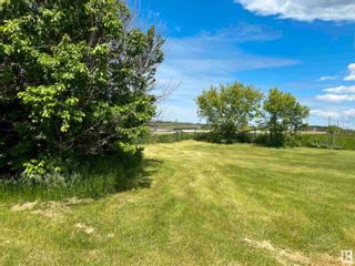 Photo 24: 55303 RGE RD 260: Rural Sturgeon County House for sale : MLS®# E4301524