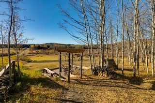 Photo 43: 28 Fawn Hills Drive: Bragg Creek Detached for sale : MLS®# A2006120