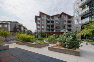 Photo 30: a414 20838 78B Avenue in Langley: Willoughby Heights Condo for sale : MLS®# R2865897