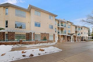 Photo 39: 319 9449 19 Street SW in Calgary: Palliser Apartment for sale : MLS®# A1050342