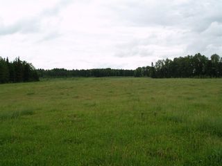Photo 7: Township Road 380: Rural Clearwater County Residential Land for sale : MLS®# A1234938