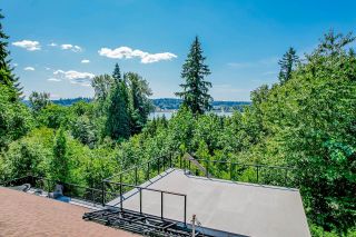 Photo 14: 24628 RIVER Road in Maple Ridge: Albion Industrial for sale : MLS®# C8053886