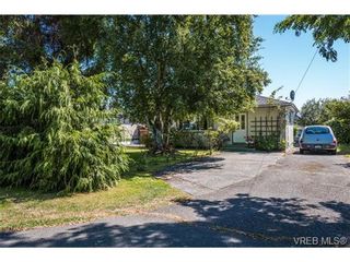 Photo 14: 131 Crease Ave in VICTORIA: SW Gateway House for sale (Saanich West)  : MLS®# 649228