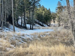Photo 11: 817 KPOKL ROAD in Invermere: Vacant Land for sale : MLS®# 2469457