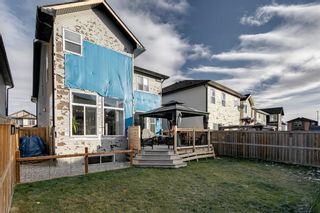 Photo 42: 43 Skyview Shores Link NE in Calgary: Skyview Ranch Detached for sale : MLS®# A1045860
