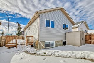 Photo 48: 6 Martinvalley Crescent NE in Calgary: Martindale Detached for sale : MLS®# A2012100