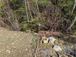Photo 8: 888 Old Chelsea Road in Chelsea: 405-Lunenburg County Vacant Land for sale (South Shore)  : MLS®# 202209674