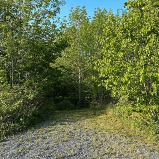 Photo 14: 15 Conquerall Road in Hebbs Cross: 405-Lunenburg County Vacant Land for sale (South Shore)  : MLS®# 202310770