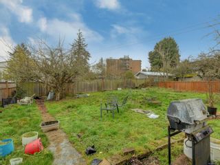 Photo 9: 1019 Kenneth St in Saanich: SE Lake Hill House for sale (Saanich East)  : MLS®# 864034