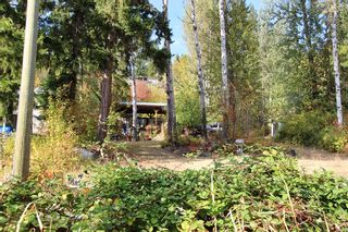 Photo 41: 6469 Squilax Anglemont Highway: Magna Bay Land Only for sale (North Shuswap)  : MLS®# 10202292