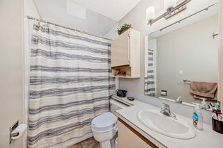 Photo 21: 3816 Dover Ridge Drive SE in Calgary: Dover Detached for sale : MLS®# A2124560