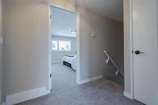Photo 23: 127 Deercroft Place SE in Calgary: Deer Run Detached for sale : MLS®# A2022109