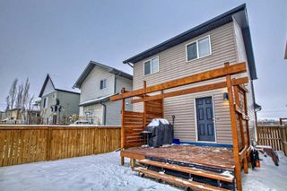 Photo 38: 114 Walden Crescent SE in Calgary: Walden Detached for sale : MLS®# A2105187