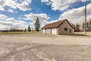 Photo 49: 31361 Range Road 15: Rural Mountain View County Detached for sale : MLS®# A2125683