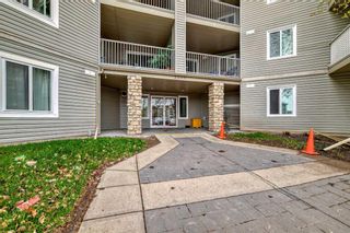 Photo 29: 5211 604 8 Street SW: Airdrie Apartment for sale : MLS®# A2127014