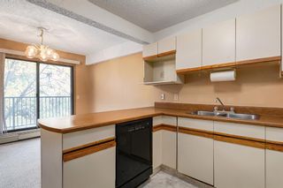 Photo 12: 204 333 2 Avenue NE in Calgary: Crescent Heights Apartment for sale : MLS®# A1039174