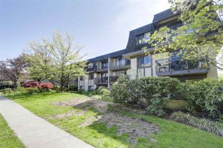 Photo 15: 206 307 W 2ND Street in North Vancouver: Lower Lonsdale Condo for sale in "Shorecrest" : MLS®# R2559579