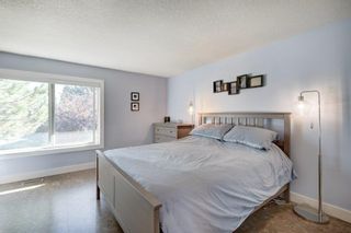 Photo 11: 208 Parkvalley Drive SE in Calgary: Parkland Detached for sale : MLS®# A2003593
