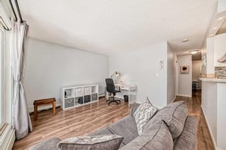 Photo 18: 2 645 Meredith Road NE in Calgary: Bridgeland/Riverside Apartment for sale : MLS®# A2130538
