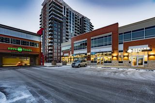 Photo 42: 1612 8880 Horton Road SW in Calgary: Haysboro Apartment for sale : MLS®# A1171334