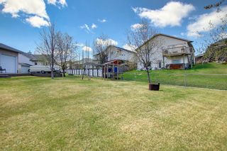 Photo 49: 429 Long Beach Landing: Chestermere Detached for sale : MLS®# A1216124