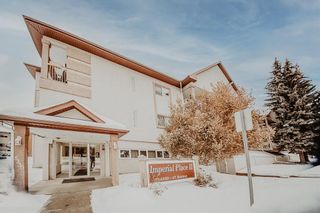 Main Photo: 308 5330 47 Avenue: Red Deer Apartment for sale : MLS®# A2108649
