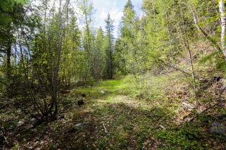 Photo 11: 2189 Barriere Lakes Road in Barriere: BA Land Only for sale (NE)  : MLS®# 171856