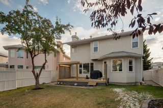 Photo 35: 219 Riverview Park SE in Calgary: Riverbend Detached for sale : MLS®# A1042474