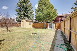 Photo 25: 20 Templemont Drive in Calgary: Temple Detached for sale : MLS®# A1211480
