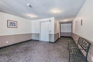 Photo 42: 1215 2280 68 Street NE in Calgary: Monterey Park Apartment for sale : MLS®# A2054328