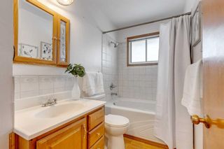 Photo 17: 2533 Sable Drive SE in Calgary: Southview Detached for sale : MLS®# A2120099