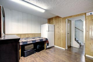 Photo 32: 19 Falchurch Road NE in Calgary: Falconridge Semi Detached (Half Duplex) for sale : MLS®# A2056585