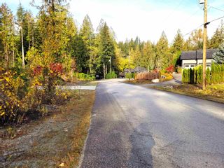 Photo 3: 12905 246 Street in Maple Ridge: Websters Corners Land for sale in "ALLCO ESTATES" : MLS®# R2735380