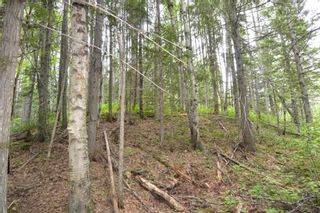 Photo 13: DL 1335A 37 Highway: Kitwanga Land for sale (Smithers And Area (Zone 54))  : MLS®# R2471833