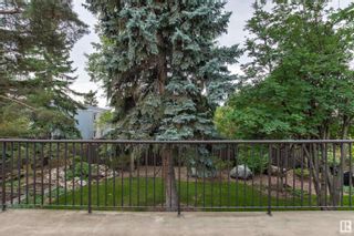 Photo 43: 5208 Whitemud Road NW in Edmonton: Zone 14 House for sale : MLS®# E4359485