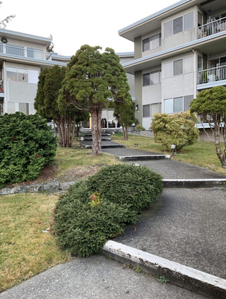 Photo 4: 1840 Argyle Ave in Nanaimo: Departure Bay Multifamily for sale