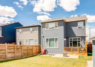 Photo 44: 120 Howse Terrace NE in Calgary: Livingston Detached for sale : MLS®# A1219316