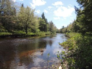 Photo 7: Lot 40-F Ravenwood Drive in Nine Mile River: 105-East Hants/Colchester West Vacant Land for sale (Halifax-Dartmouth)  : MLS®# 202306175