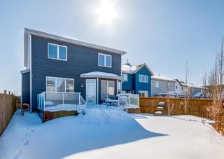Photo 3: 1048 Copperfield Boulevard SE in Calgary: Copperfield Detached for sale : MLS®# A2033001