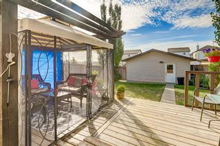 Photo 33: 214 Morningside Gardens SW: Airdrie Detached for sale : MLS®# A2088537