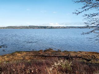 Photo 15: 3632 S Island Hwy in Courtenay: CV Courtenay South Land for sale (Comox Valley)  : MLS®# 951089