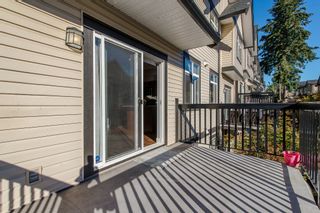 Photo 20: 70 19932 70 Avenue in Langley: Willoughby Heights Townhouse for sale in "Summerwood" : MLS®# R2114626
